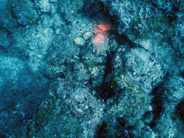 %_tempFileName2017_aTSV_AW_Punat_0051%