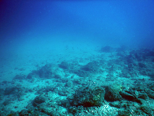 %_tempFileName2017_aTSV_AW_Punat_0052%