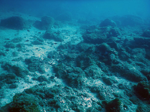 %_tempFileName2017_aTSV_AW_Punat_0053%