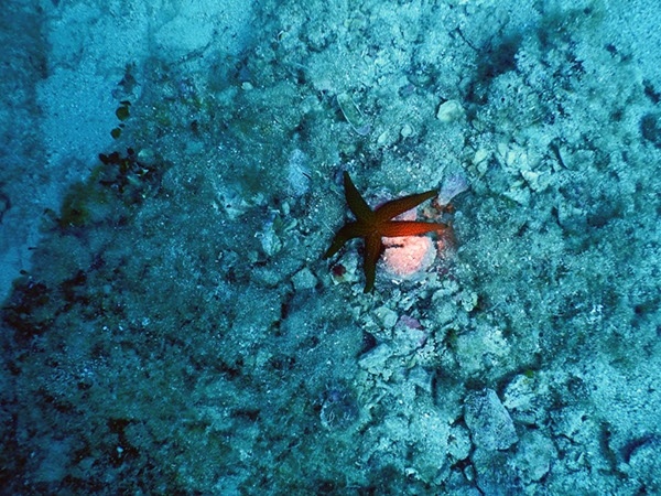 %_tempFileName2017_aTSV_AW_Punat_0055%