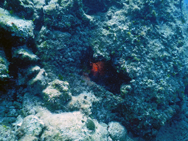 %_tempFileName2017_aTSV_AW_Punat_0057%