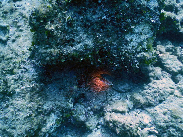 %_tempFileName2017_aTSV_AW_Punat_0059%