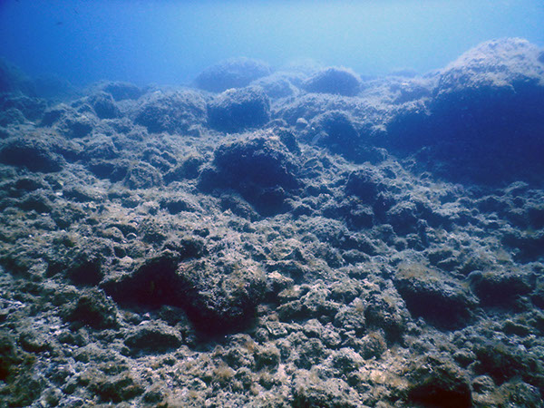 %_tempFileName2017_aTSV_AW_Punat_0062%