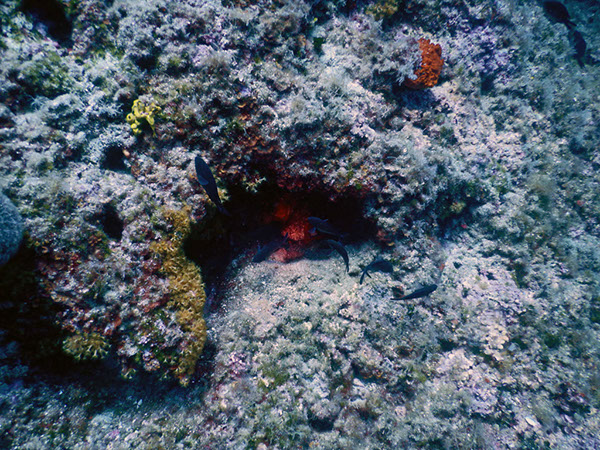 %_tempFileName2017_aTSV_AW_Punat_0073%