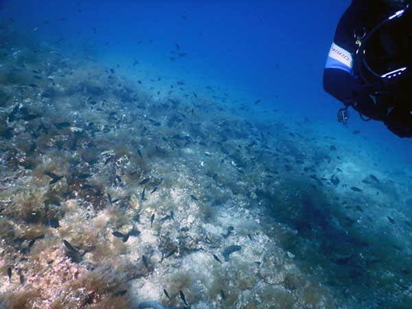 %_tempFileName2017_aTSV_AW_Punat_0104%