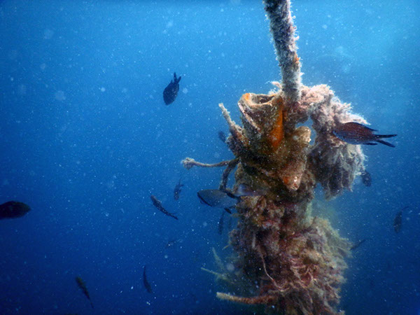 %_tempFileName2017_aTSV_AW_Punat_0176%