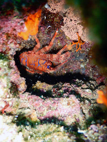 %_tempFileName2017_aTSV_AW_Punat_0189%