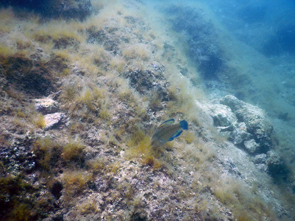 %_tempFileName2017_aTSV_AW_Punat_0190%