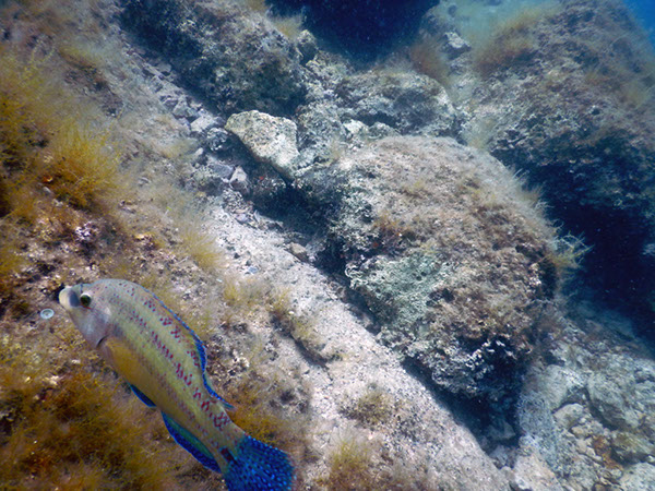 %_tempFileName2017_aTSV_AW_Punat_0192%