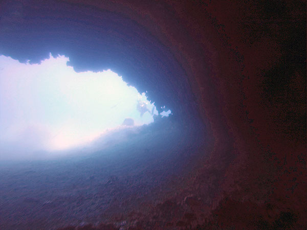 %_tempFileName2017_aTSV_RB_uw_Punat_0100%