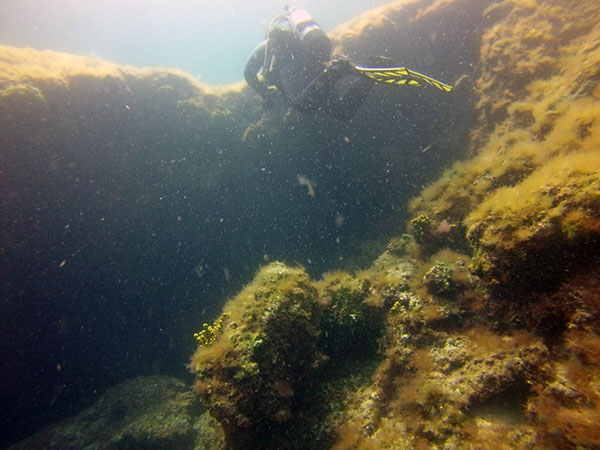 %_tempFileName2017_aTSV_RB_uw_Punat_0110%