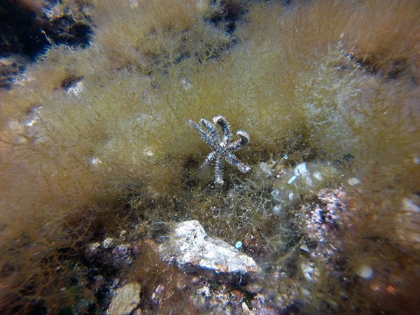 %_tempFileName2017_aTSV_RB_uw_Punat_0118%