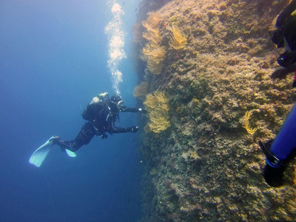 %_tempFileName2017_aTSV_RB_uw_Punat_0125%