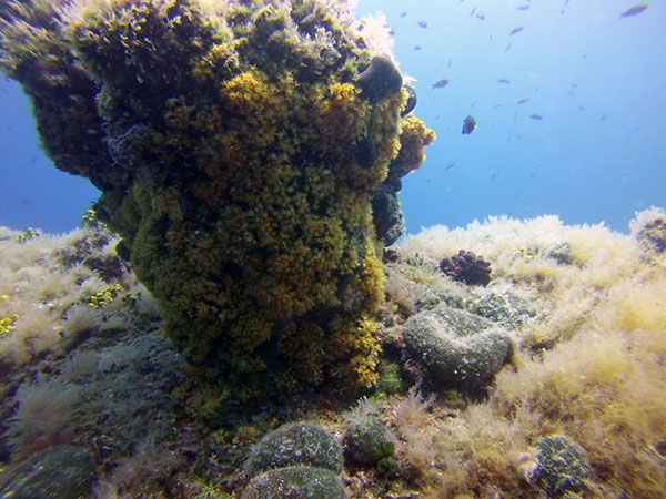 %_tempFileName2017_aTSV_RB_uw_Punat_0128%