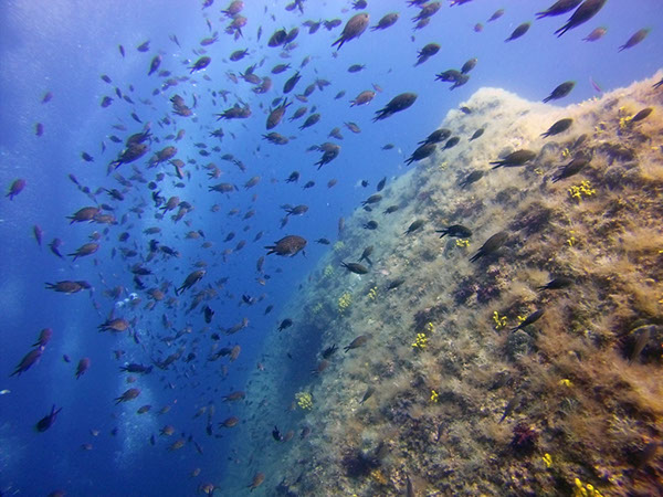 %_tempFileName2017_aTSV_RB_uw_Punat_0129%