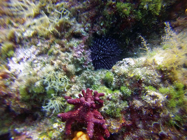 %_tempFileName2017_aTSV_RB_uw_Punat_0130%