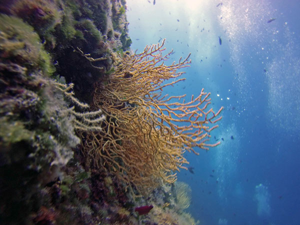 %_tempFileName2017_aTSV_RB_uw_Punat_0133%