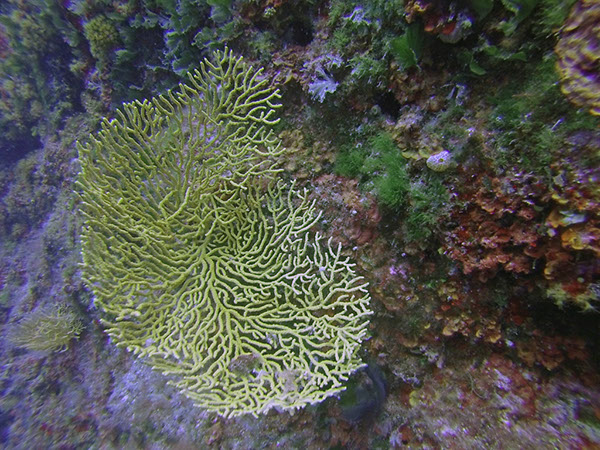 %_tempFileName2017_aTSV_RB_uw_Punat_0135%