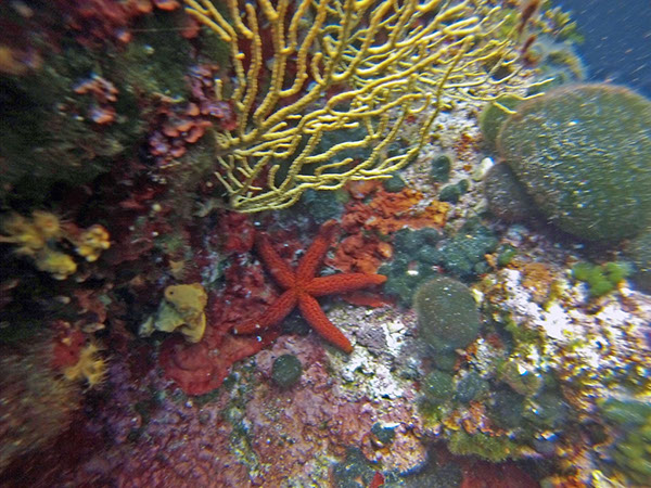 %_tempFileName2017_aTSV_RB_uw_Punat_0140%