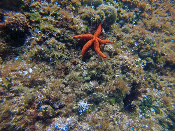 %_tempFileName2017_aTSV_RB_uw_Punat_0141%