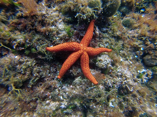 %_tempFileName2017_aTSV_RB_uw_Punat_0142%