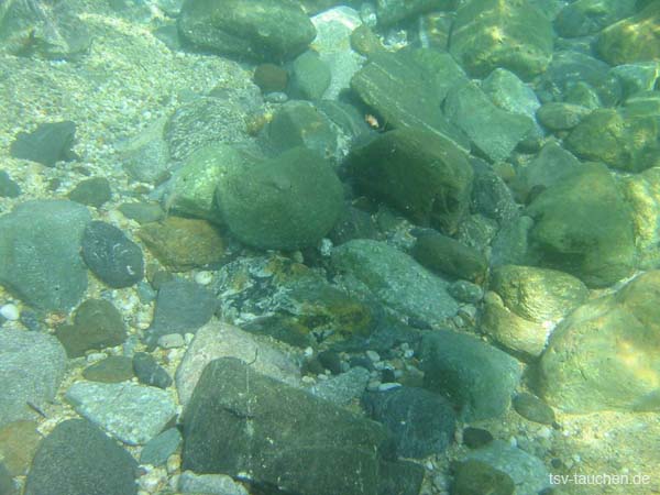 2009_UW_LesIss_0024
