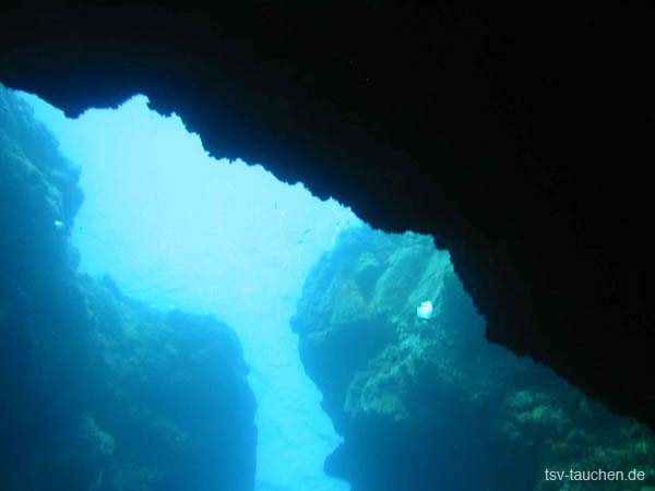 2009_UW_LesIss_0093