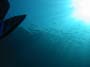 2009_UW_LesIss_0052