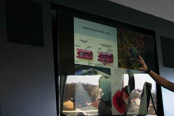 %_tempFileName2015_Tauchseminar_web_078%