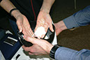 %_tempFileName2015_Tauchseminar_web_050%