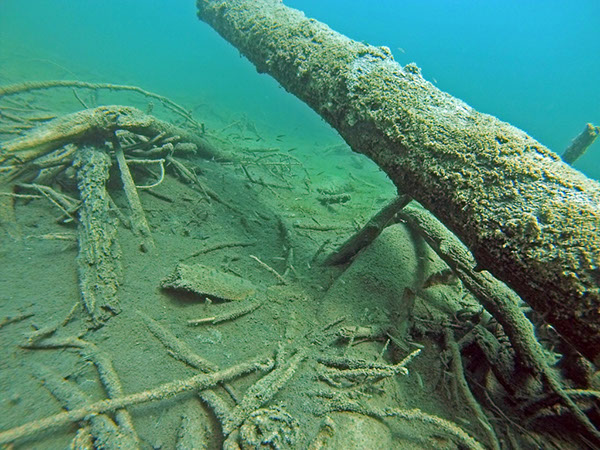 %_tempFileName2016_aTSV_OWDTK_Blindsee_006%