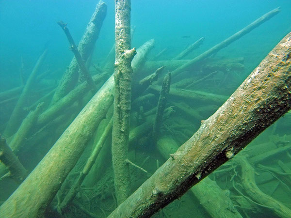 %_tempFileName2016_aTSV_OWDTK_Blindsee_007%