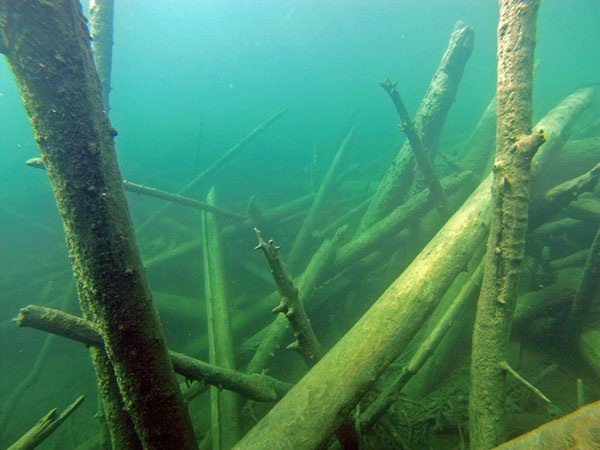 %_tempFileName2016_aTSV_OWDTK_Blindsee_008%