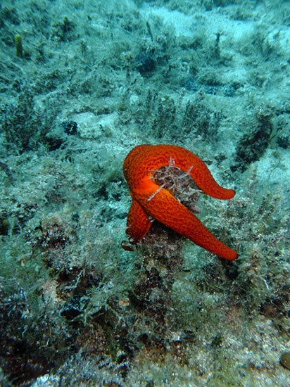 %_tempFileNameDSCF0840%