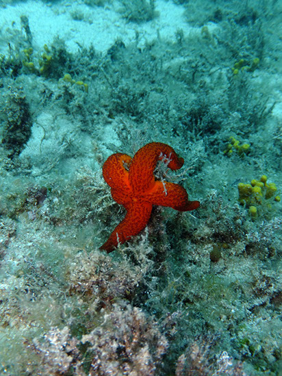 %_tempFileNameDSCF0841%