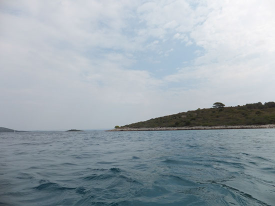 %_tempFileNameDSCF0850%