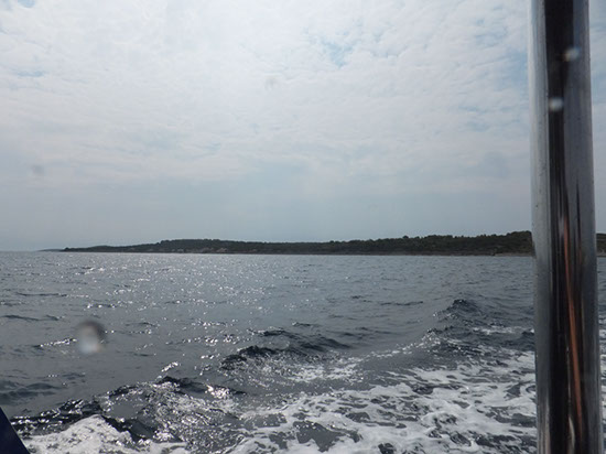 %_tempFileNameDSCF0852%