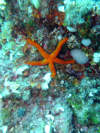 %_tempFileNameDSCF0857%