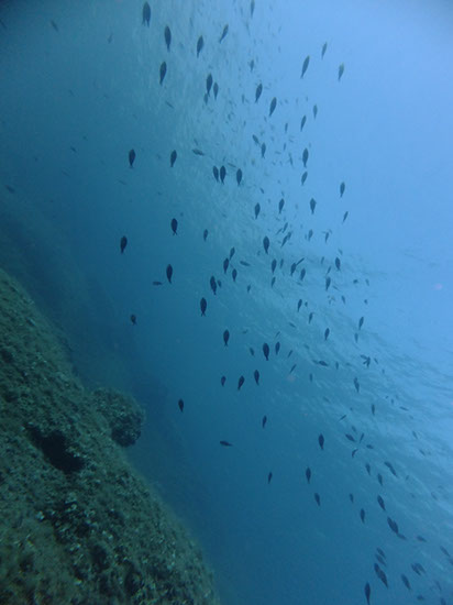 %_tempFileNameDSCF0859%