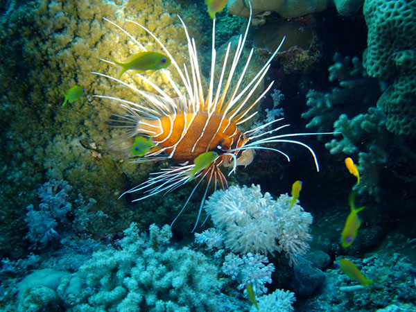 %_tempFileNameDSCF3851%