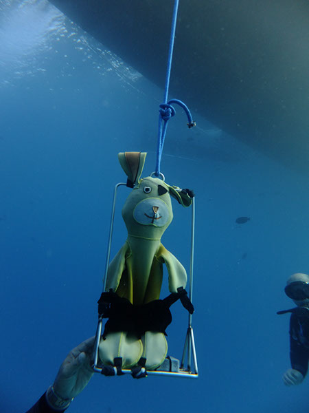 %_tempFileNameDSCF3866%