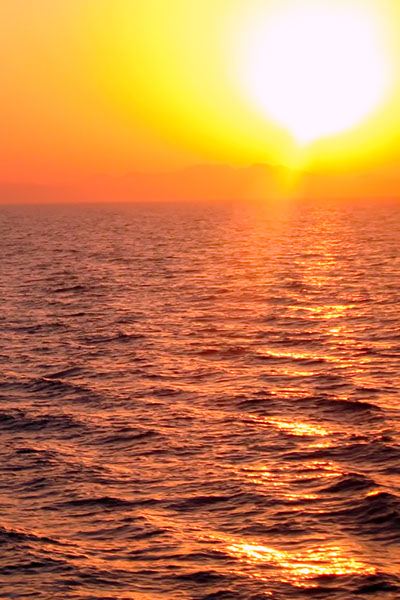 %_tempFileNameIMG_6895%