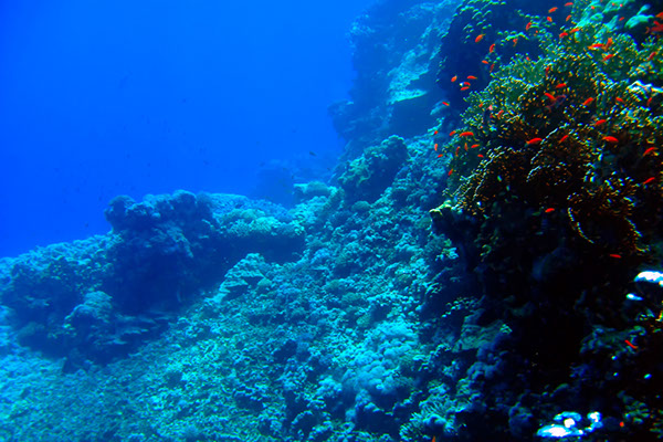 %_tempFileNameIMG_6919%