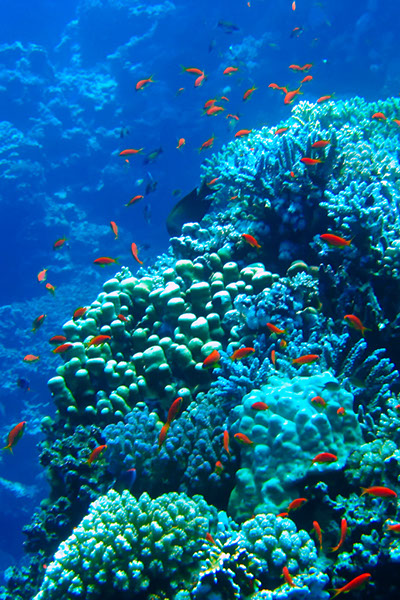 %_tempFileNameIMG_6923%