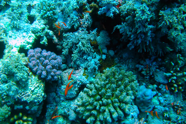 %_tempFileNameIMG_6929%