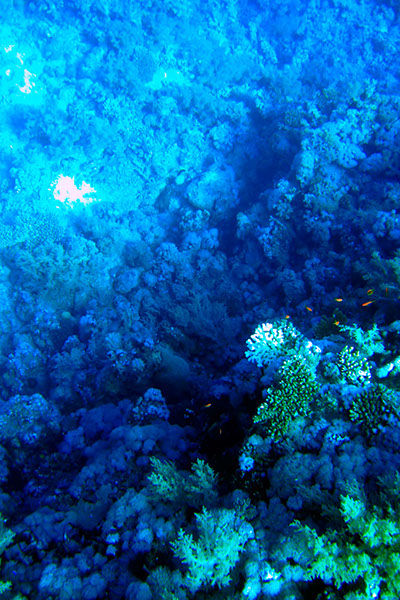 %_tempFileNameIMG_6937%