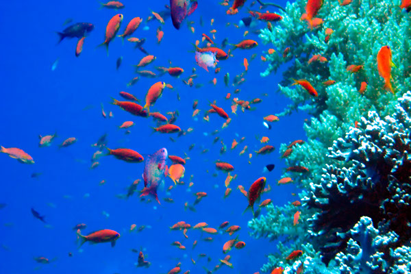 %_tempFileNameIMG_6940%