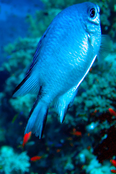 %_tempFileNameIMG_6946%