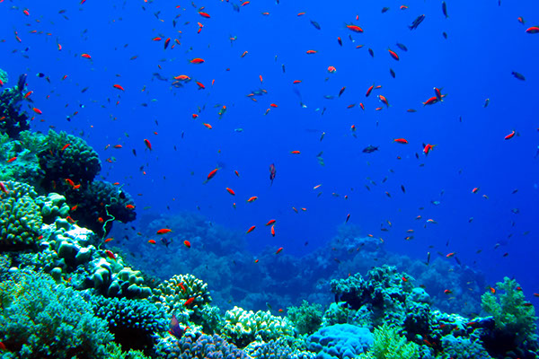 %_tempFileNameIMG_6952%