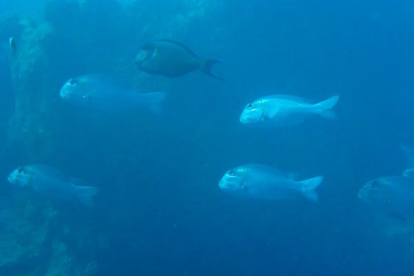 %_tempFileNameIMG_7022%